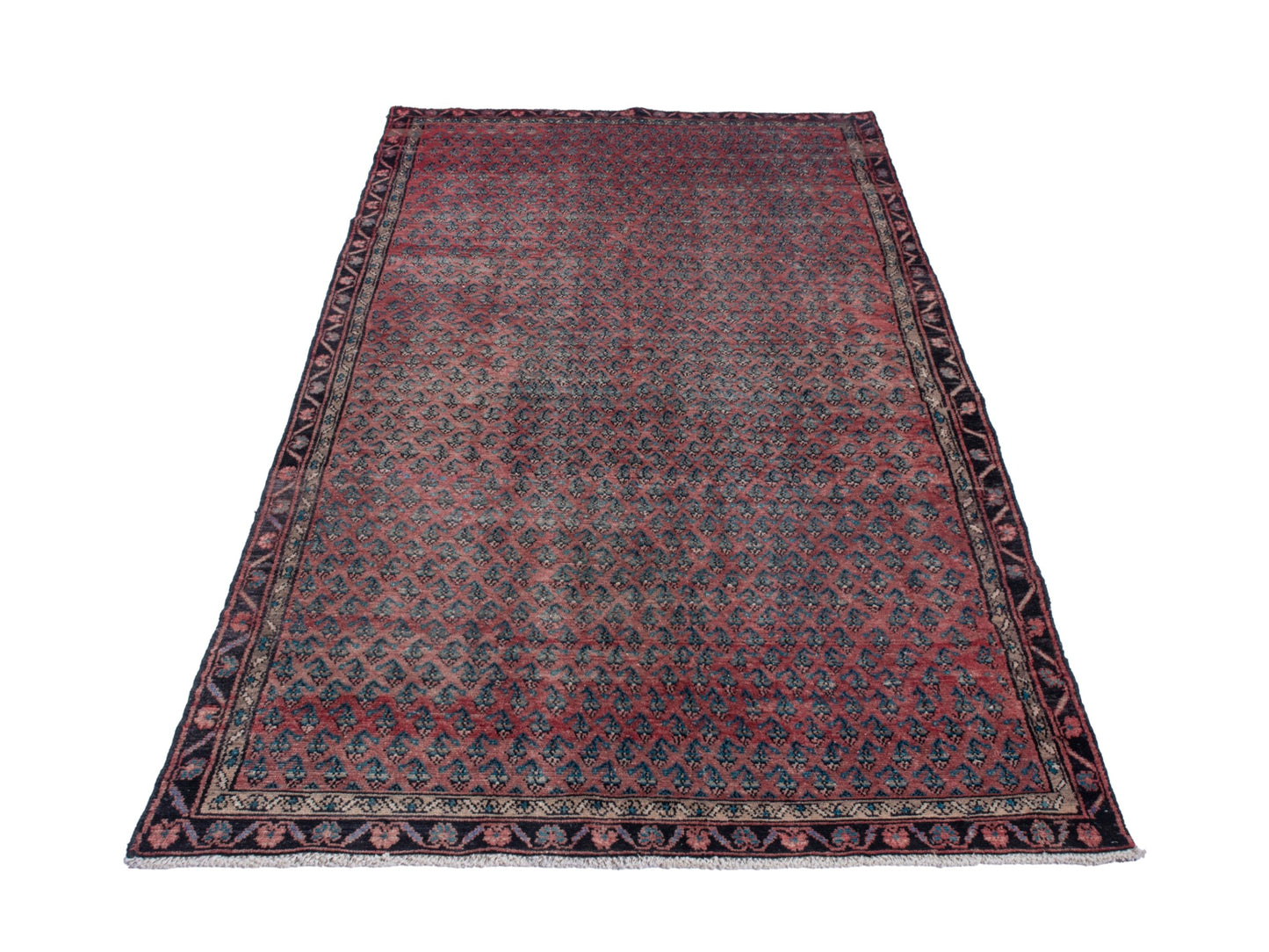 CAN_4770 - 4'8" x 9'7"