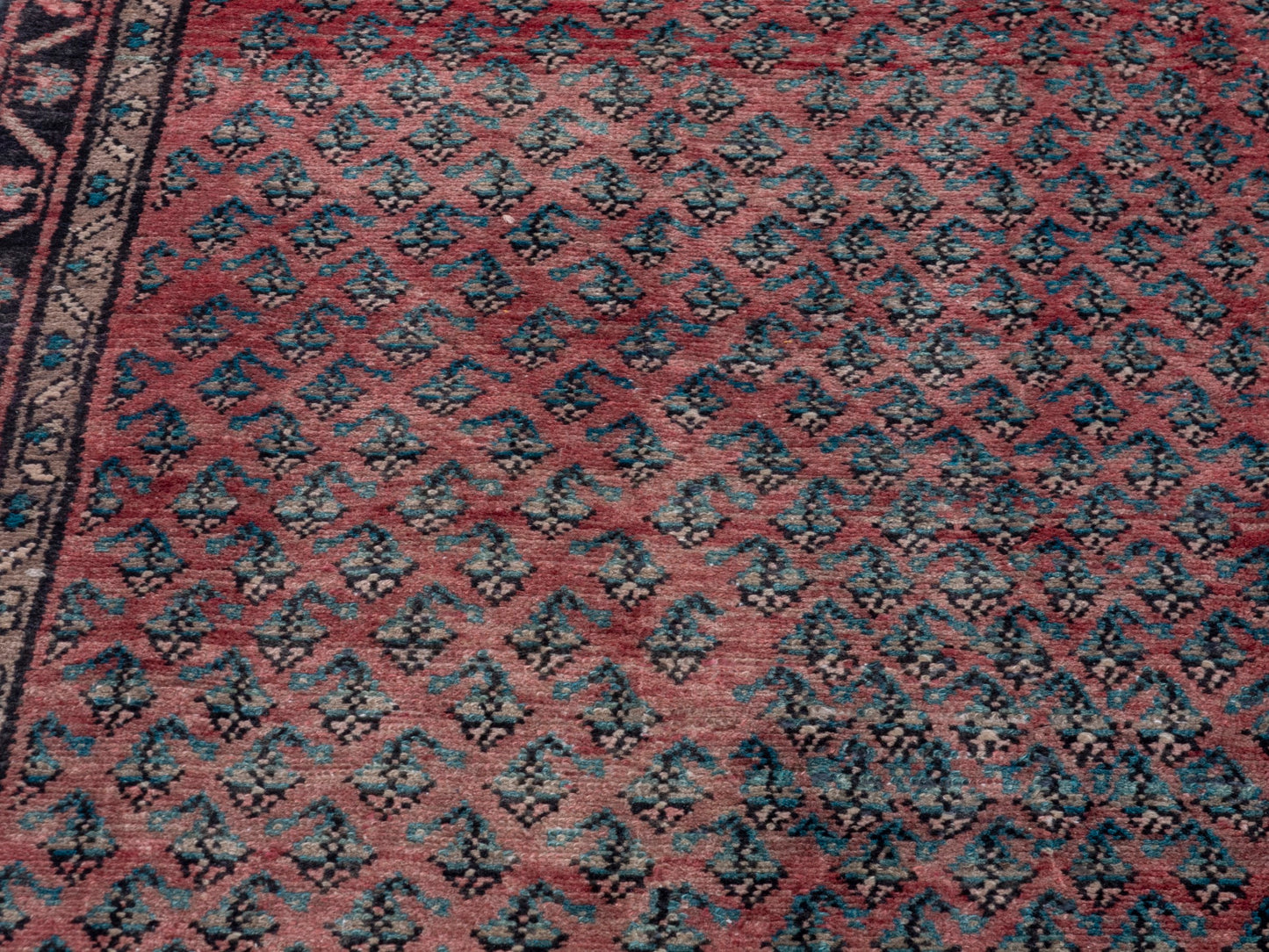 CAN_4770 - 4'8" x 9'7"