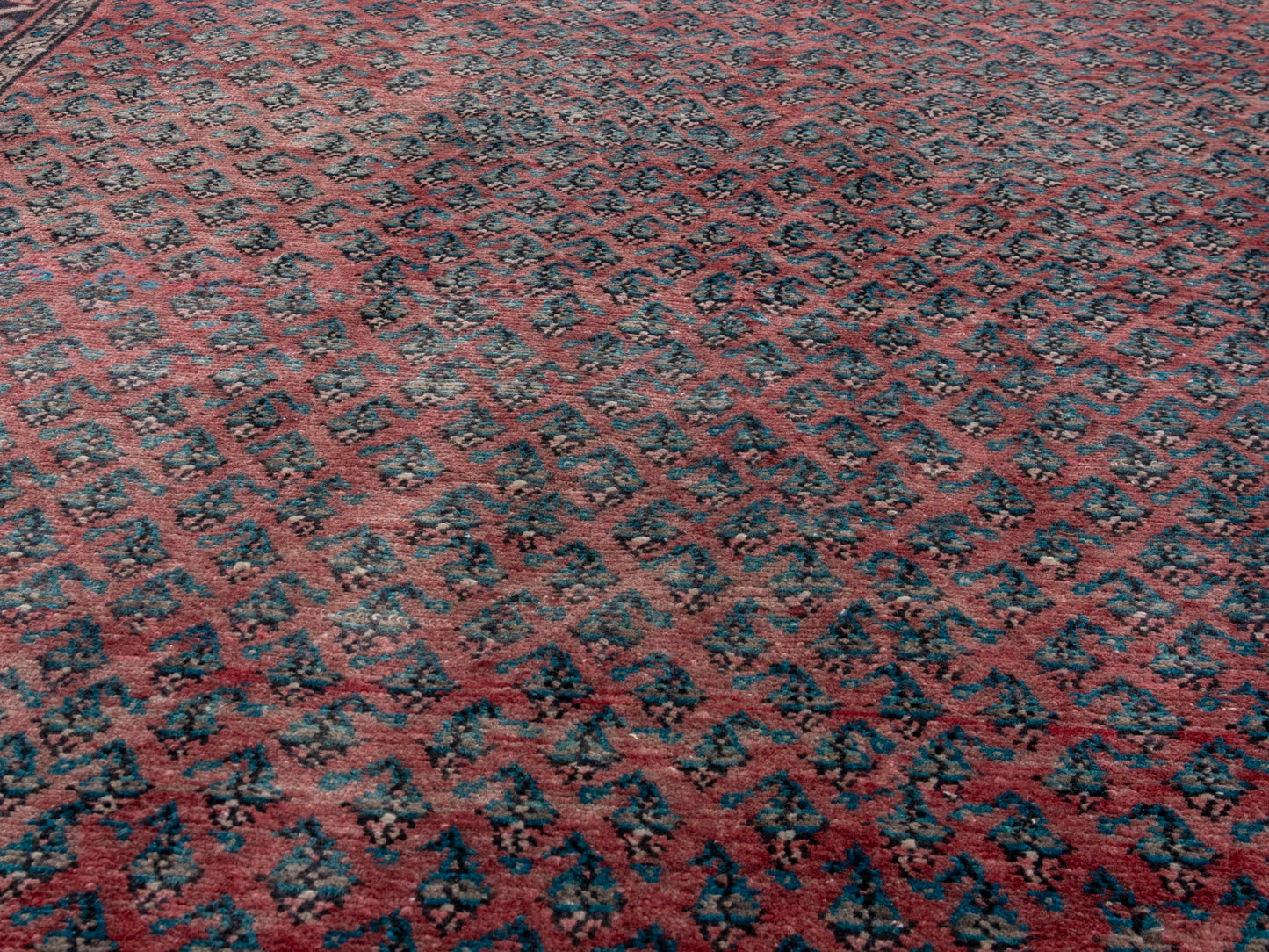 CAN_4770 - 4'8" x 9'7"