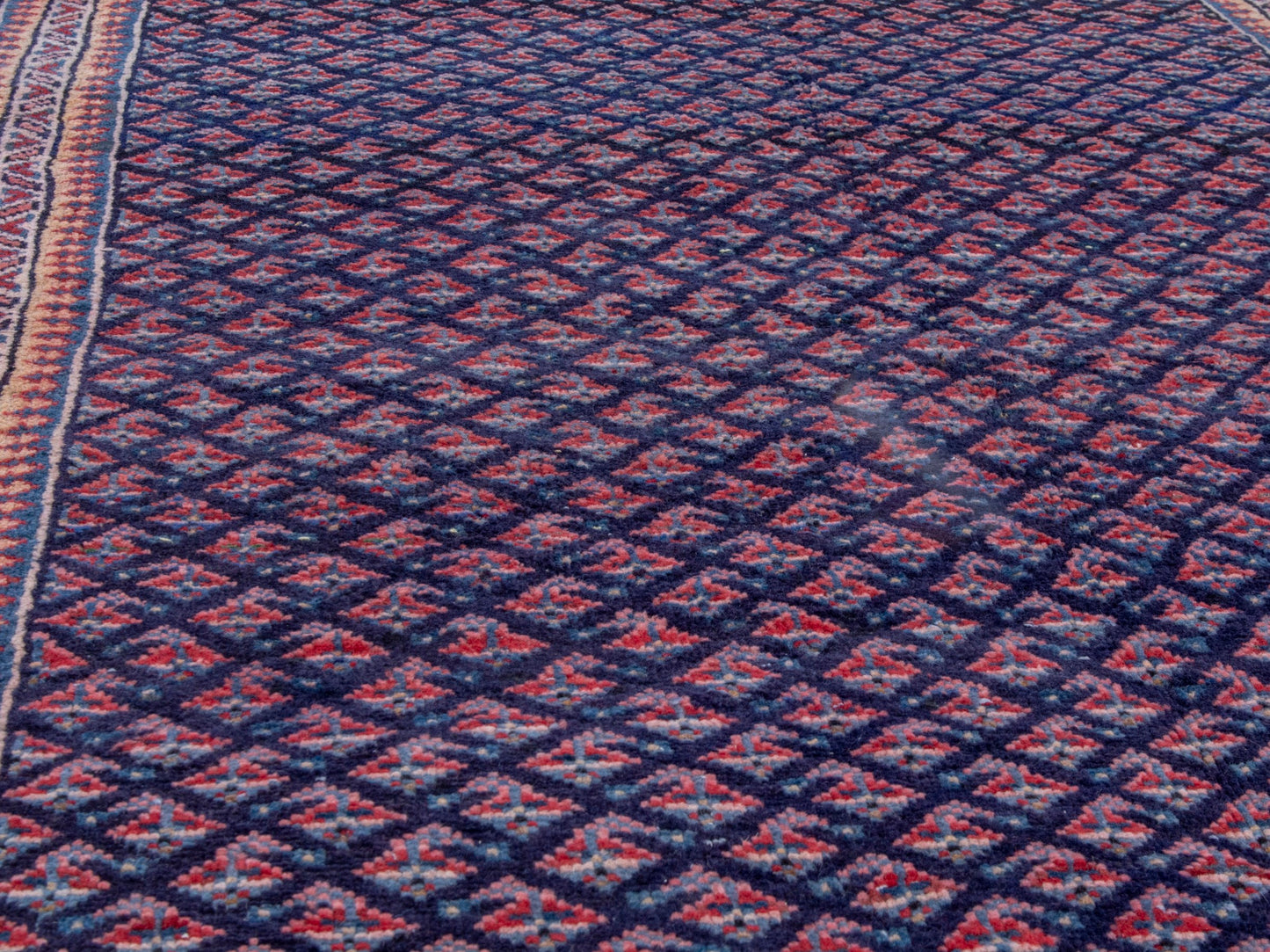 CAN_4772 - 4'4" x 10'1"