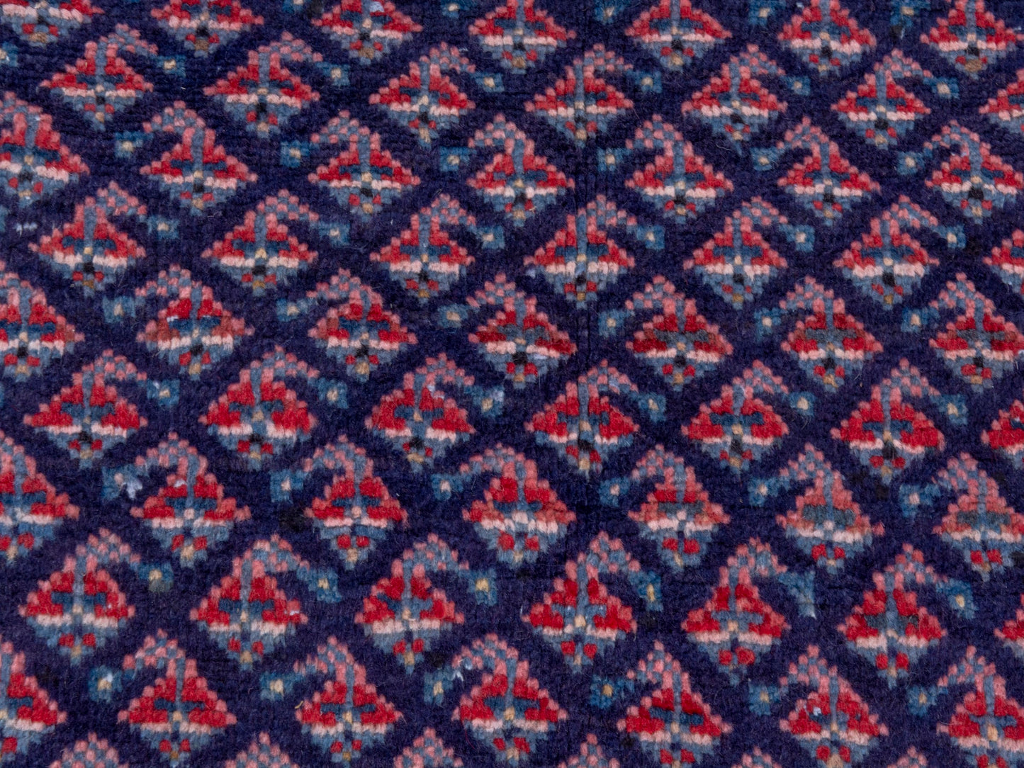 CAN_4772 - 4'4" x 10'1"