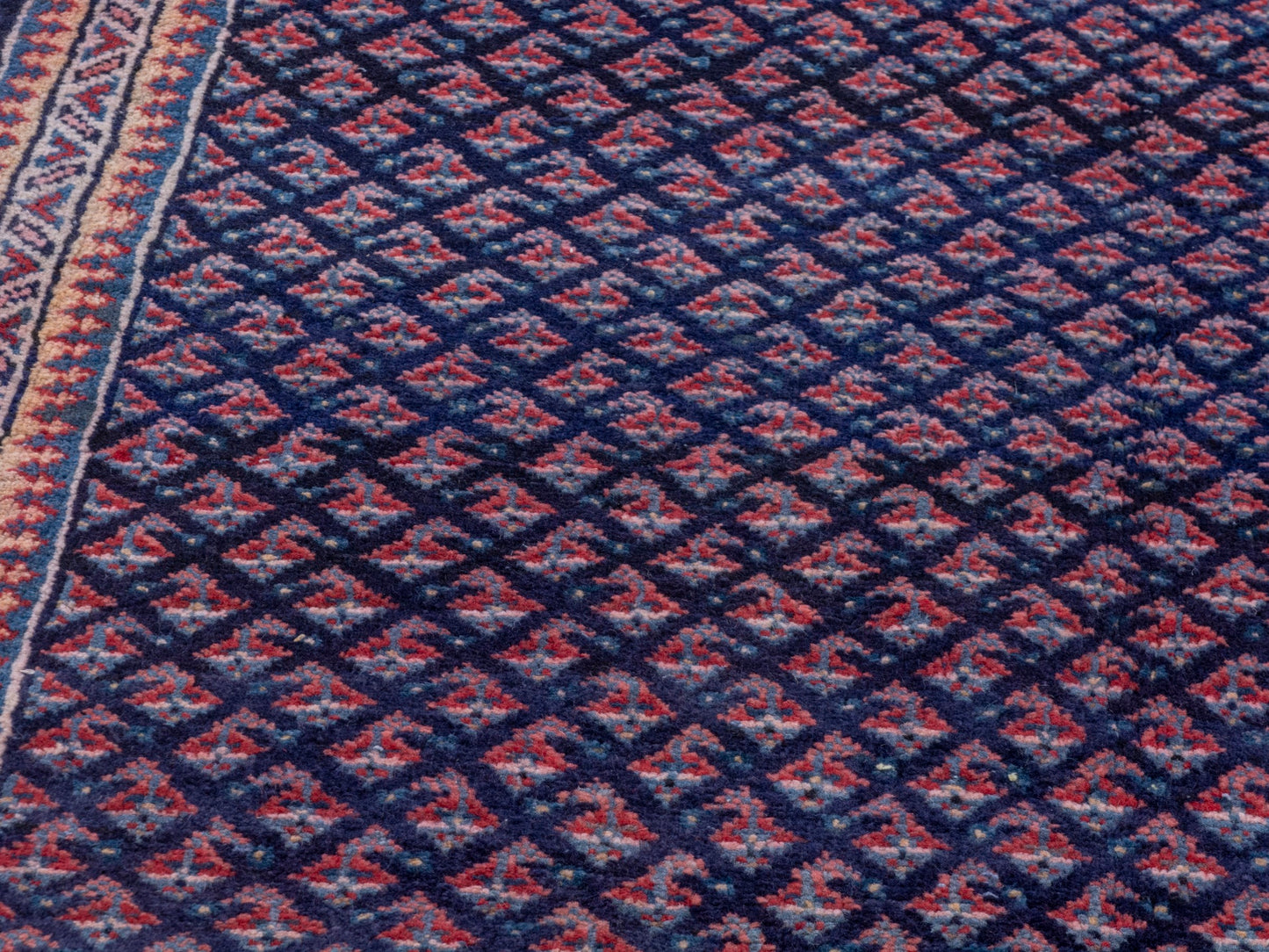 CAN_4772 - 4'4" x 10'1"