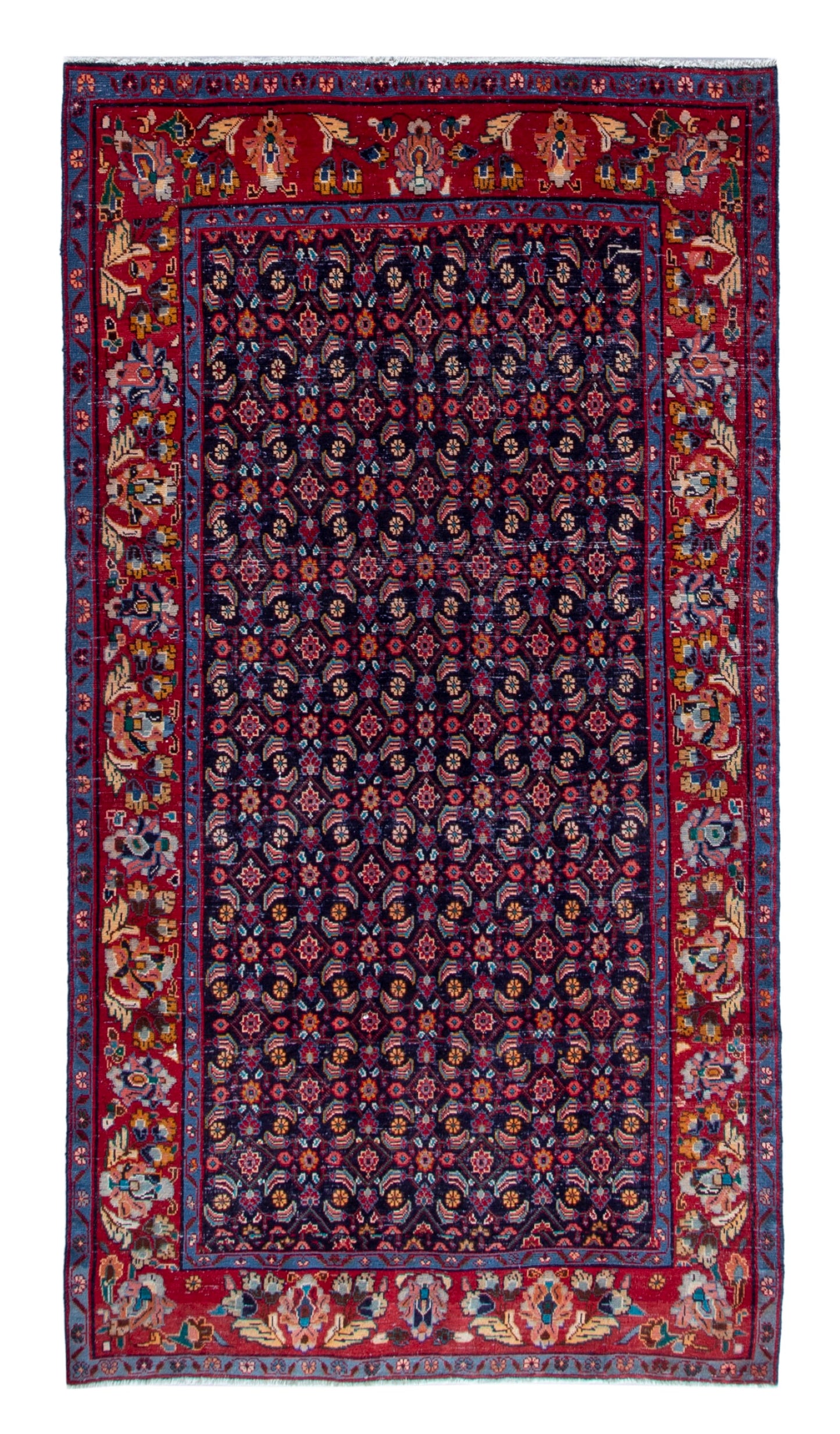CAN_4773 - 4'9" x 9'4"