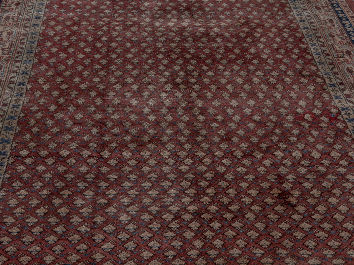 CAN_4781 - 5'3" x 10'9"