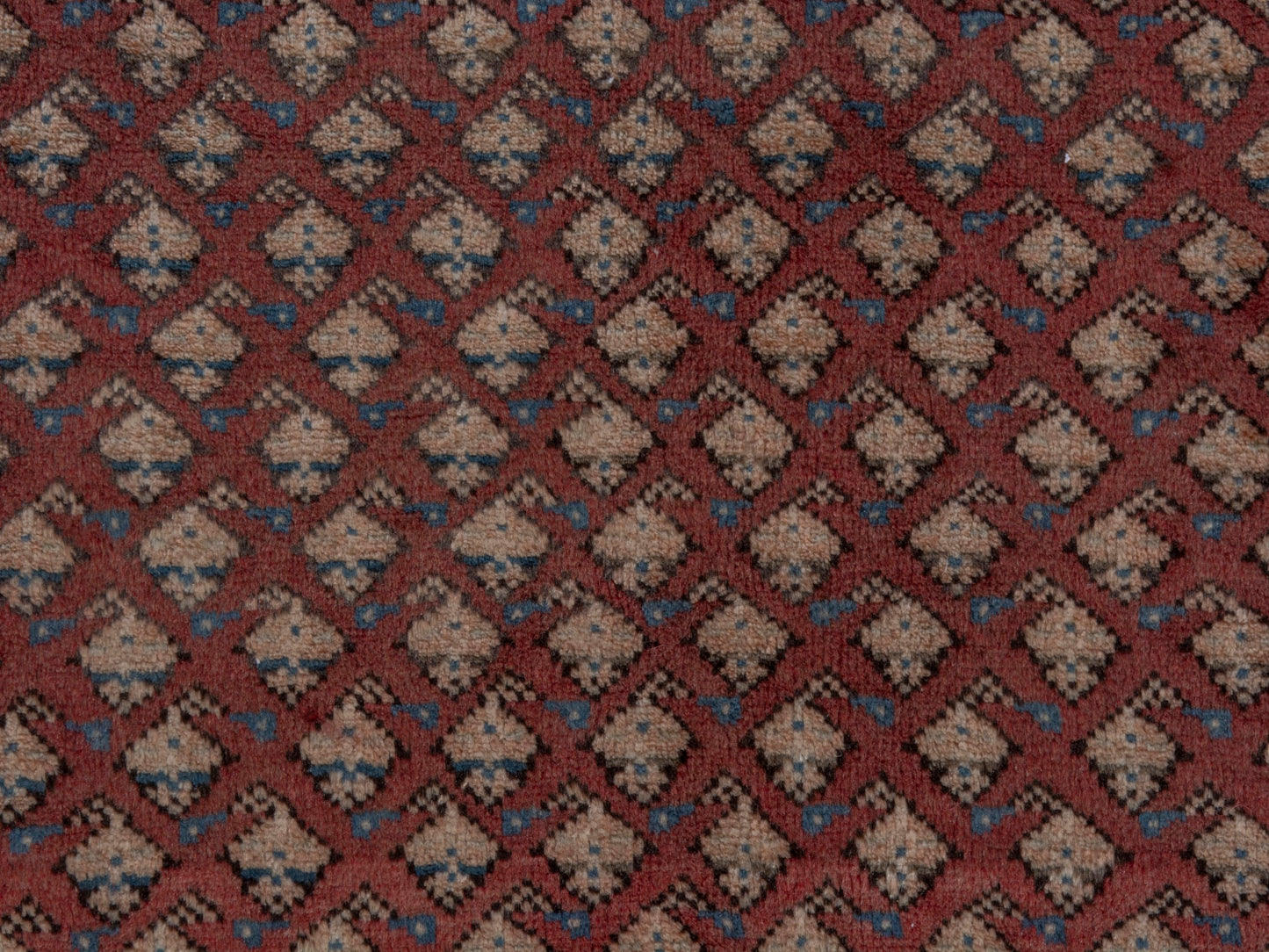 CAN_4781 - 5'3" x 10'9"