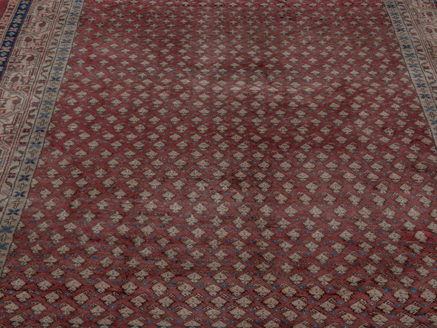 CAN_4781 - 5'3" x 10'9"
