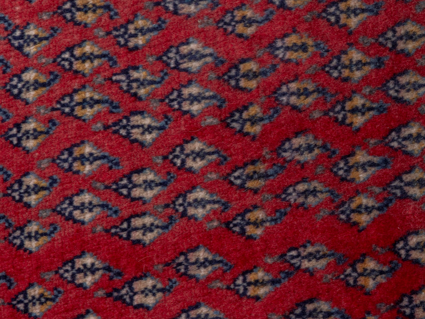 CAN_4786 - 2'2" x 4'2"