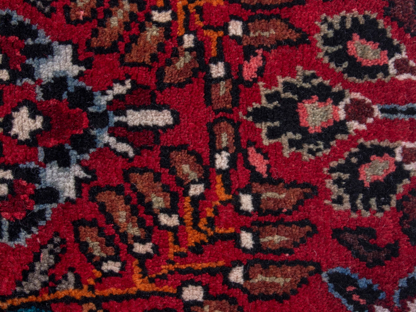 CAN_4787 - 1'10" x 2'11"