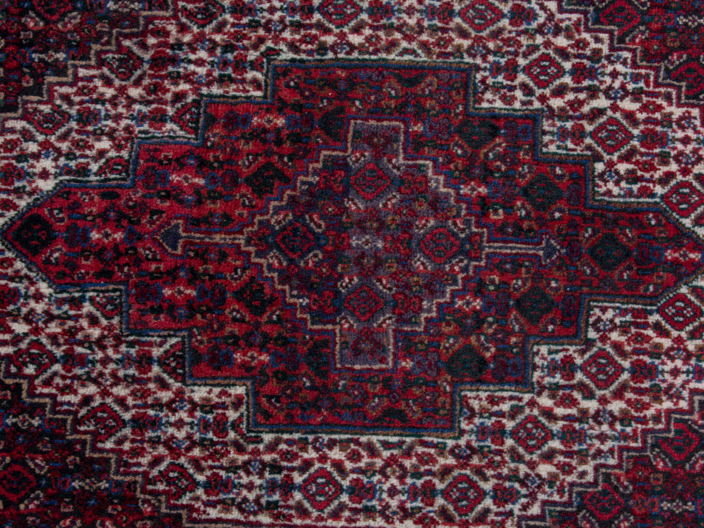 CAN_4789 - 2'4" x 2'11"