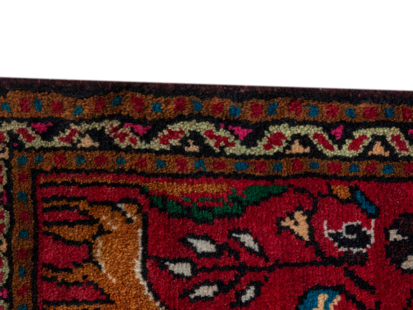 CAN_4797 - 1'9" x 3'1"