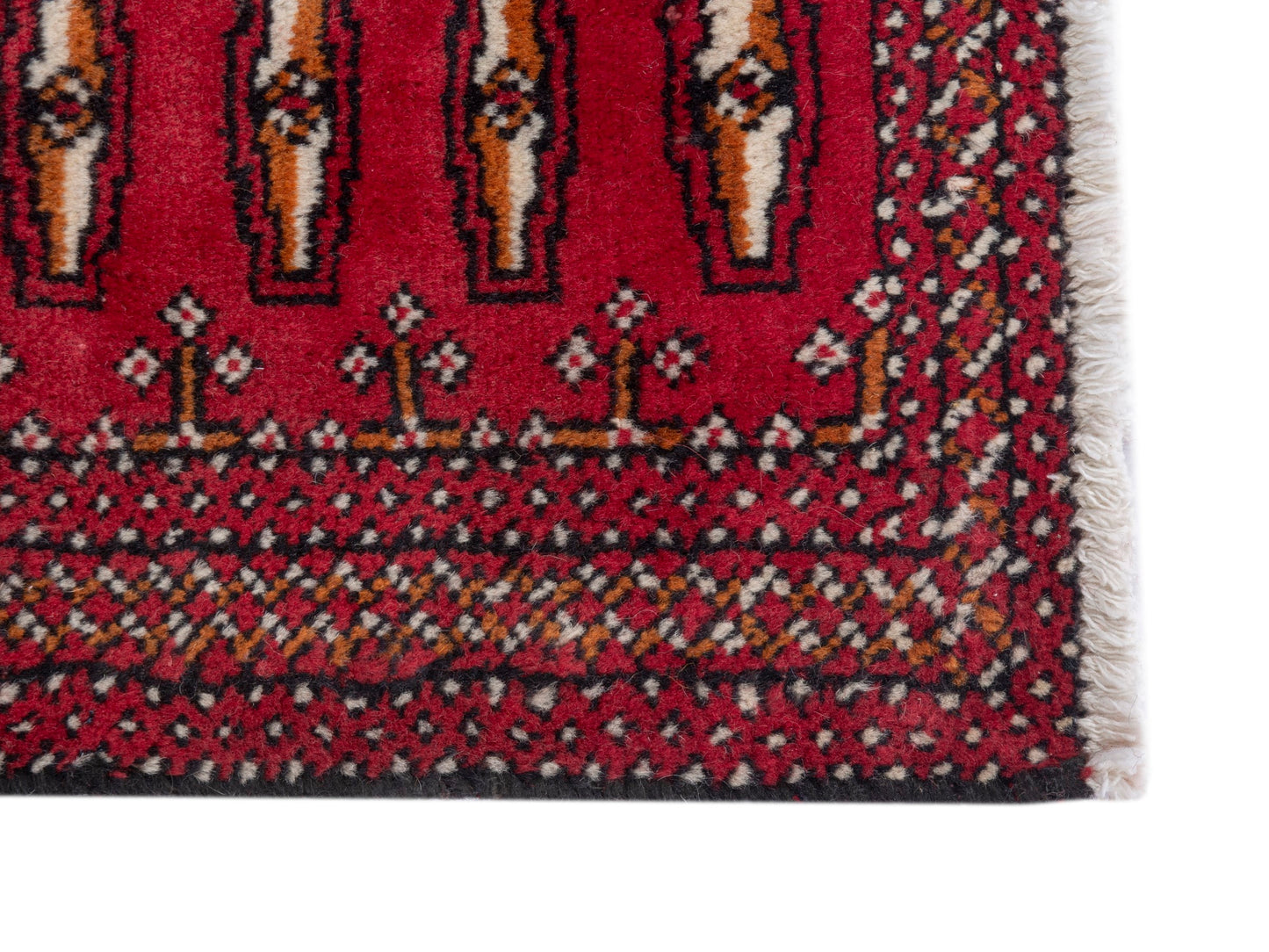 CAN_4808 - 3'3" x 1'6"