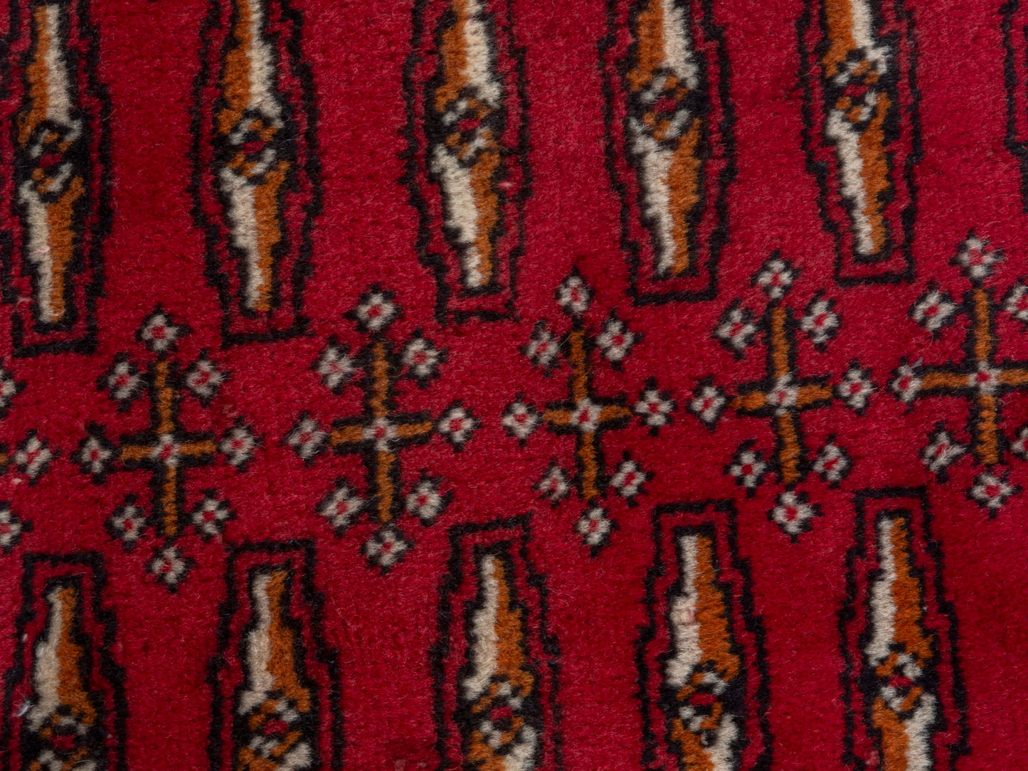 CAN_4808 - 3'3" x 1'6"