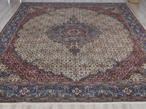 XL141 - 9'1" x 12'4"