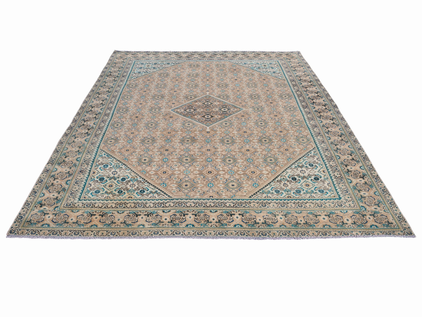 XL232 - 9'1" x 12'10"