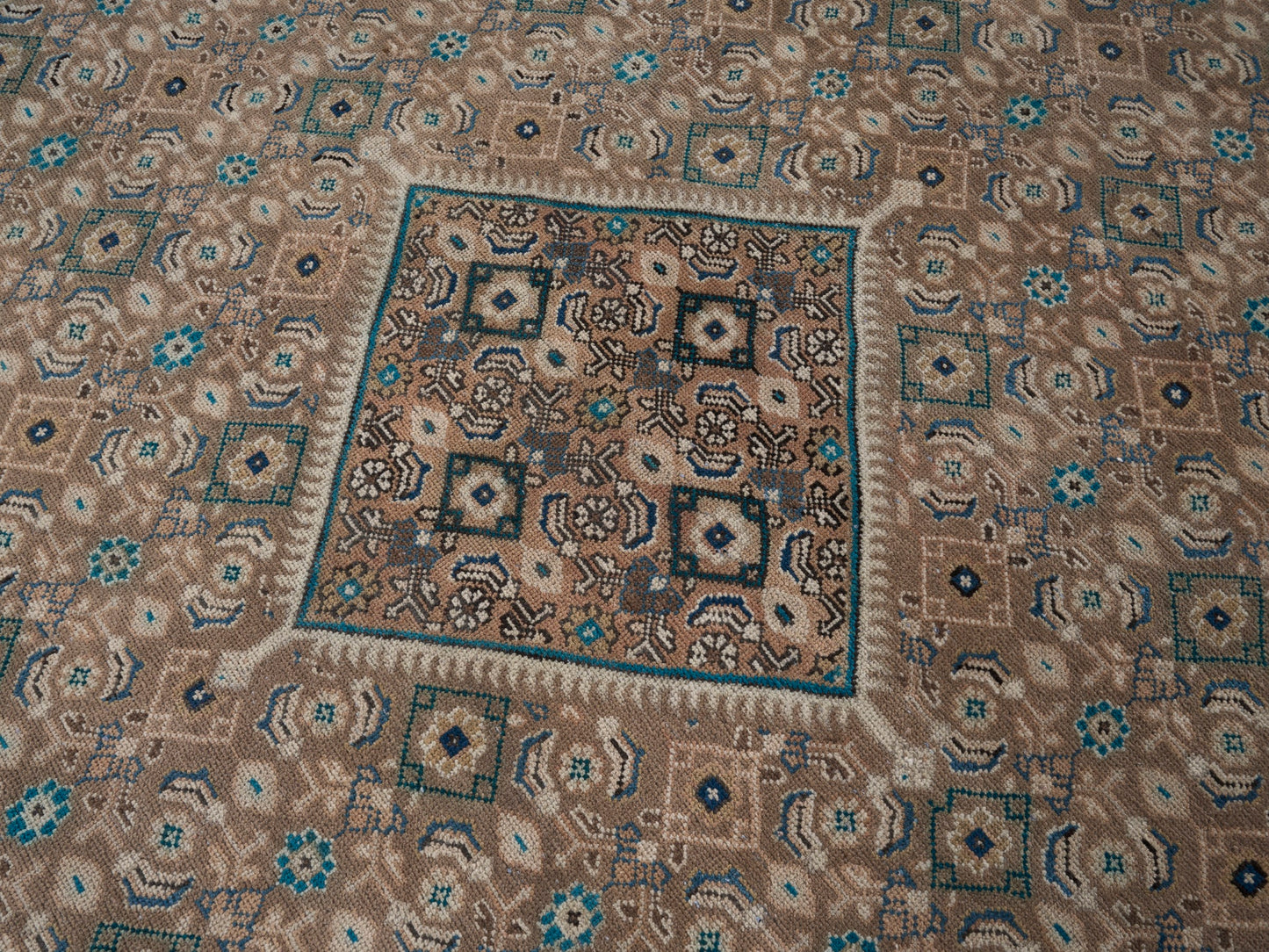 XL232 - 9'1" x 12'10"