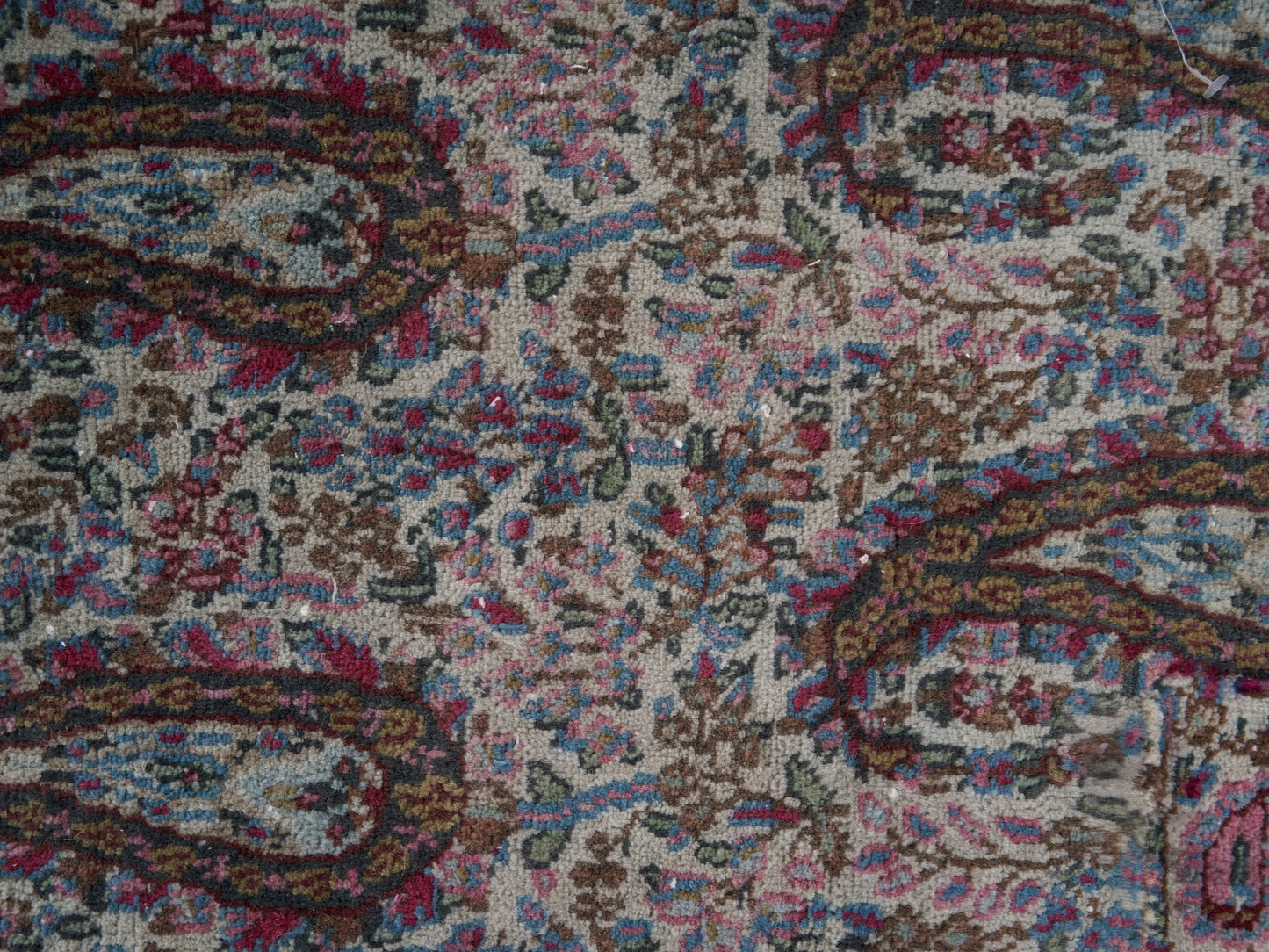 XL293 - 9'1" x 12'4"