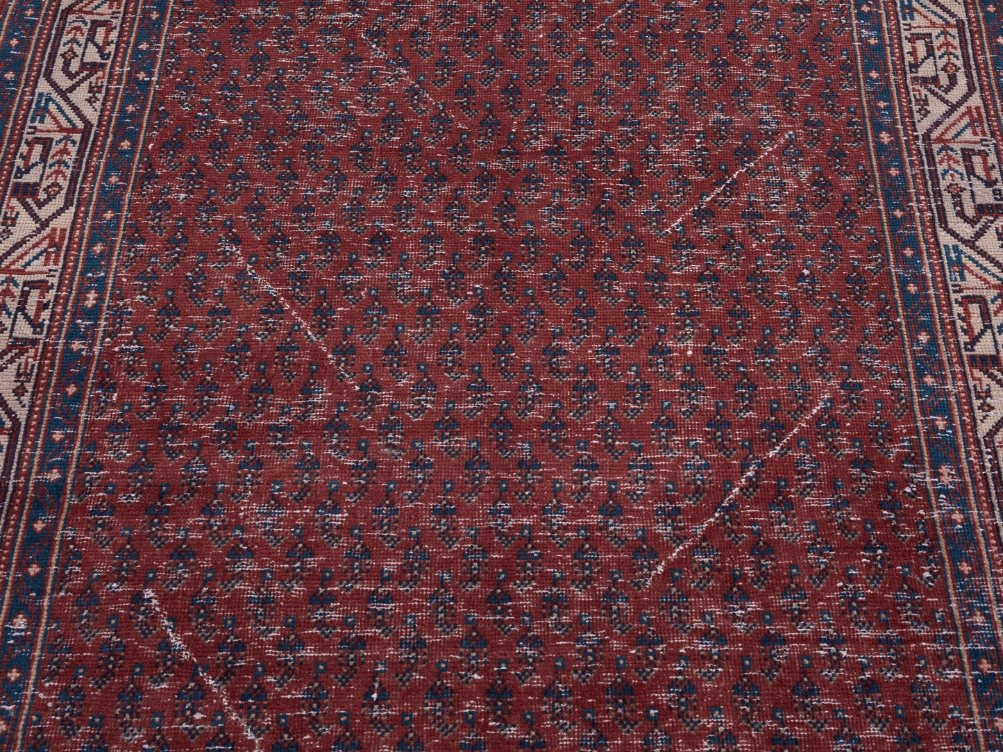 8236 - 3'3" x 10'4"