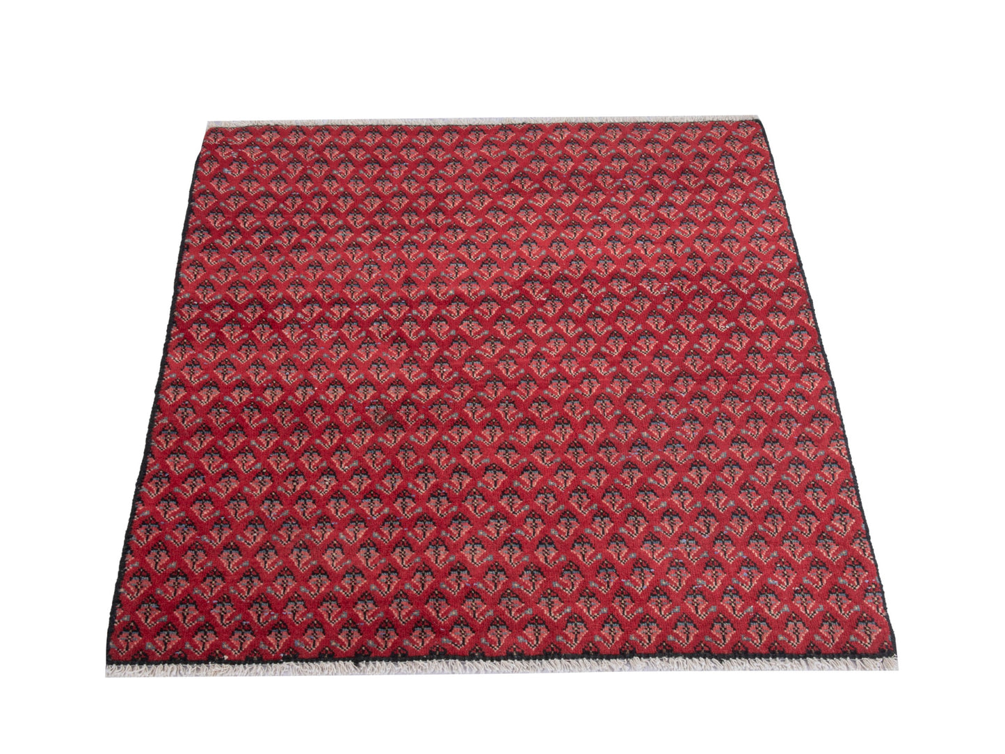 CAN_4810 - 2'7" x 3'1"