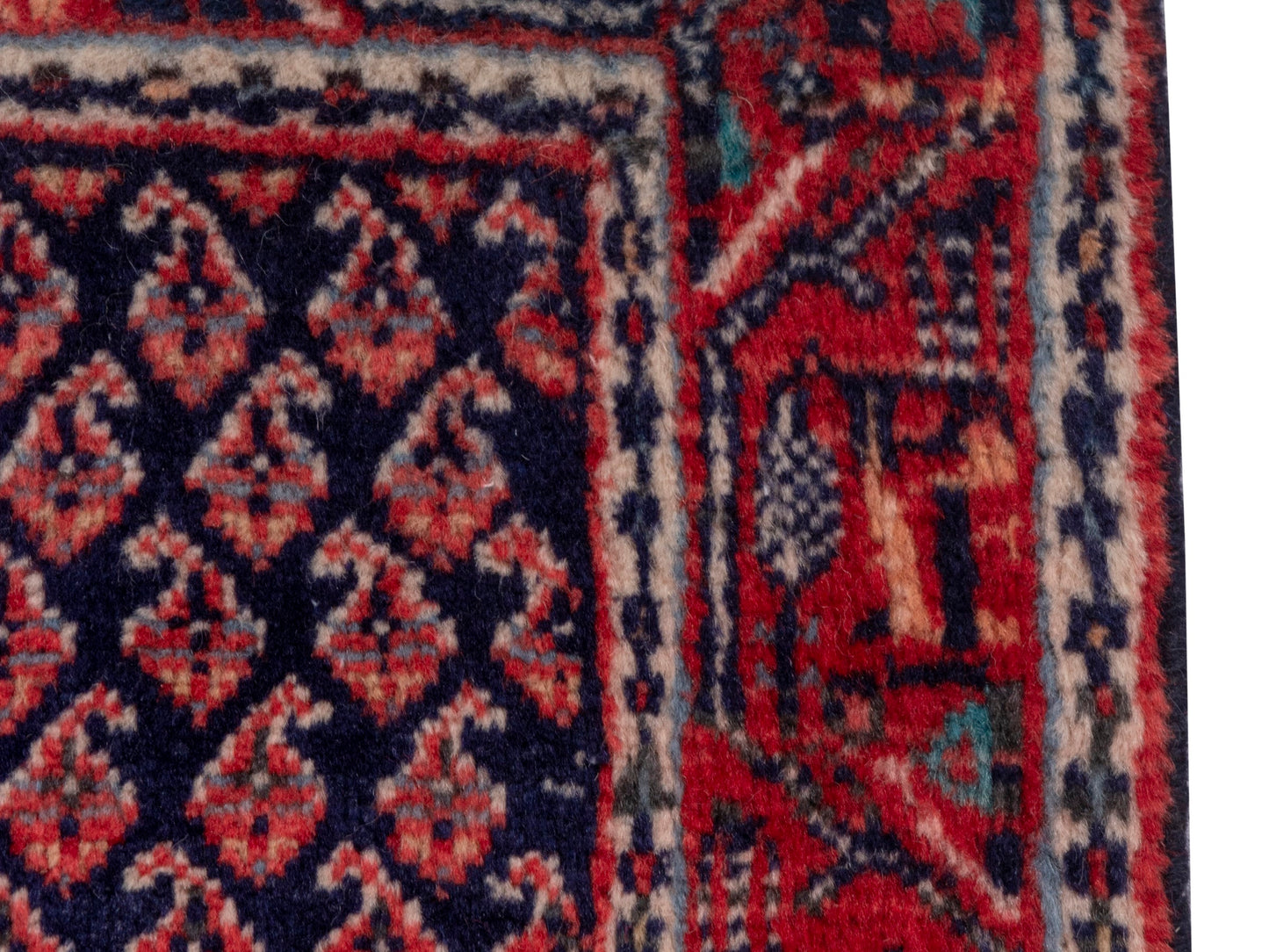CAN_4835 - 2'1" x 3'11"