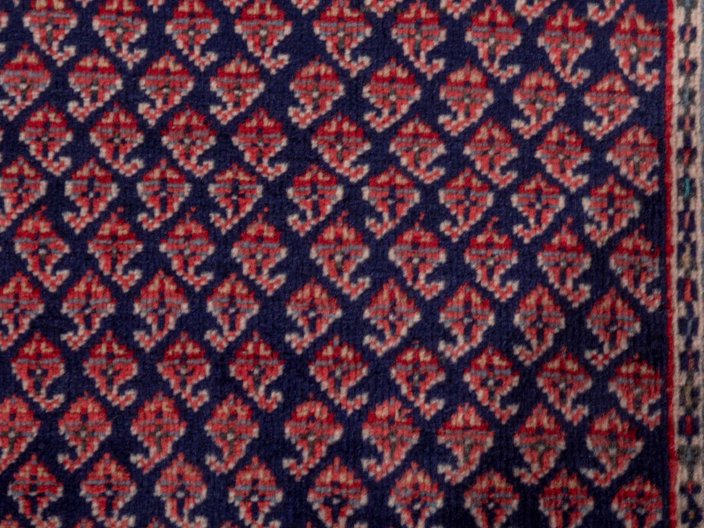 CAN_4835 - 2'1" x 3'11"