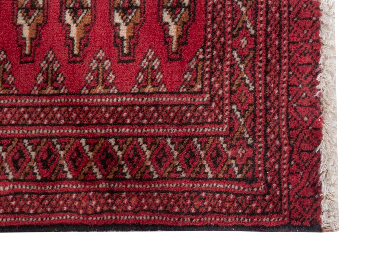 CAN_4851 - 4'1" x 2'2"