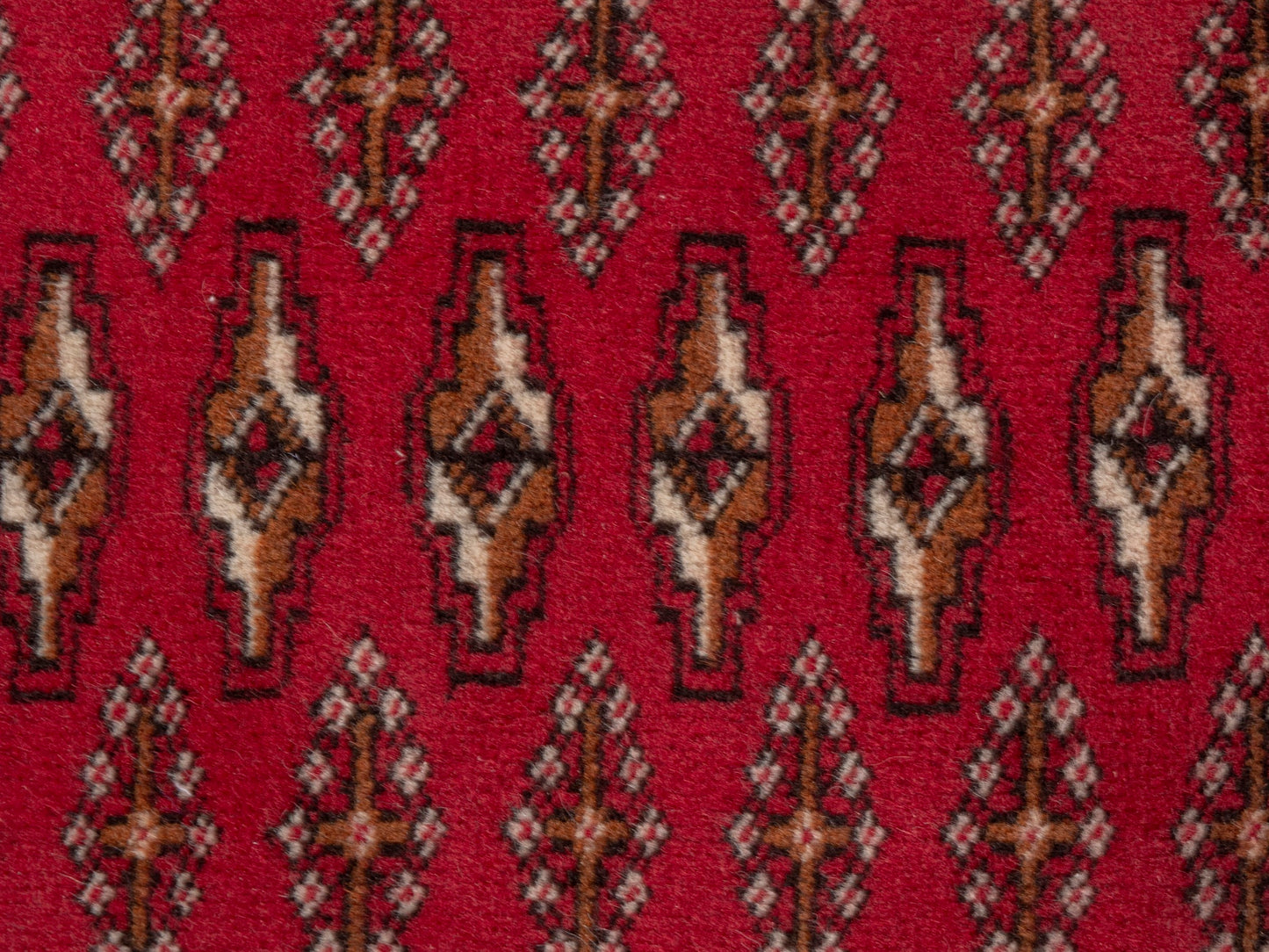CAN_4851 - 4'1" x 2'2"
