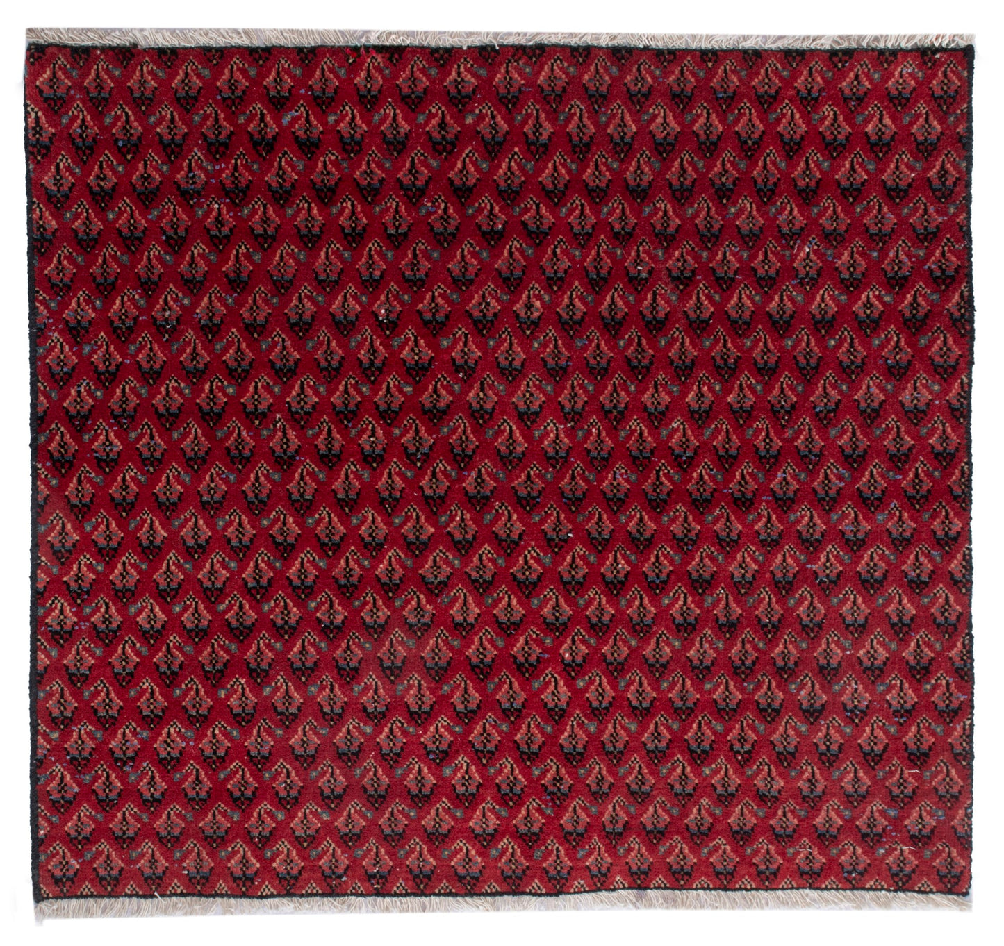 CAN_4890 - 2'7" x 2'4"