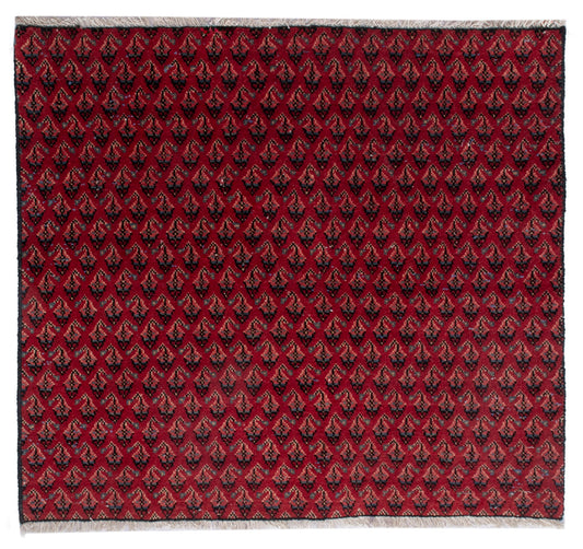 CAN_4890 - 2'7" x 2'4"