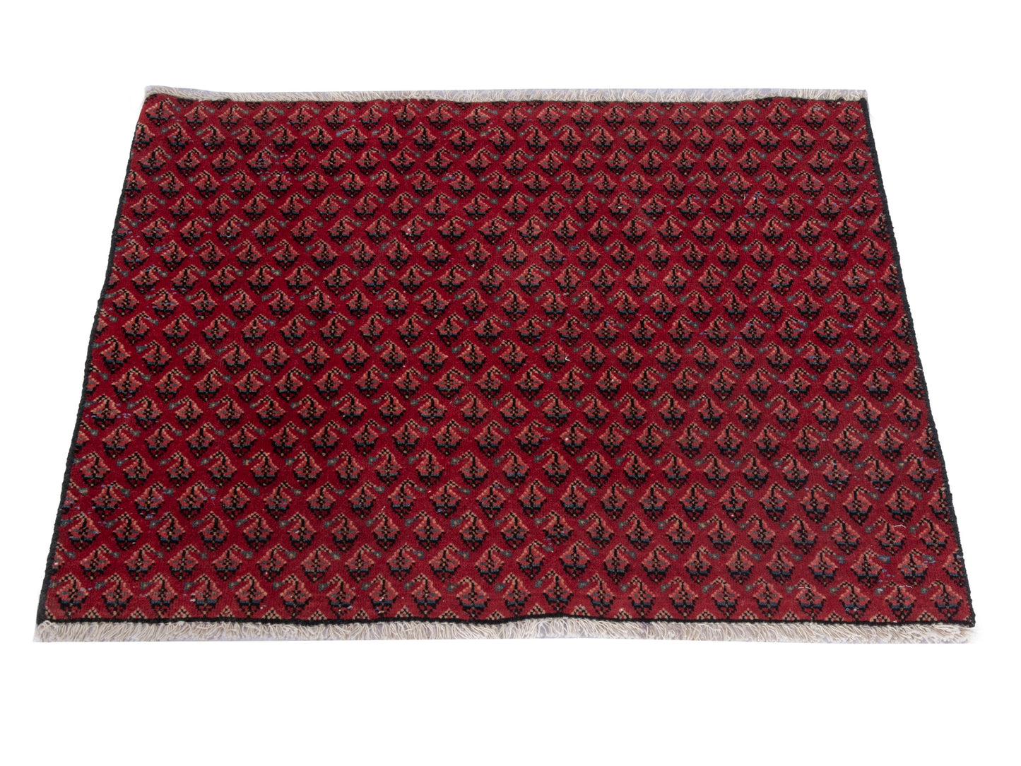 CAN_4890 - 2'7" x 2'4"