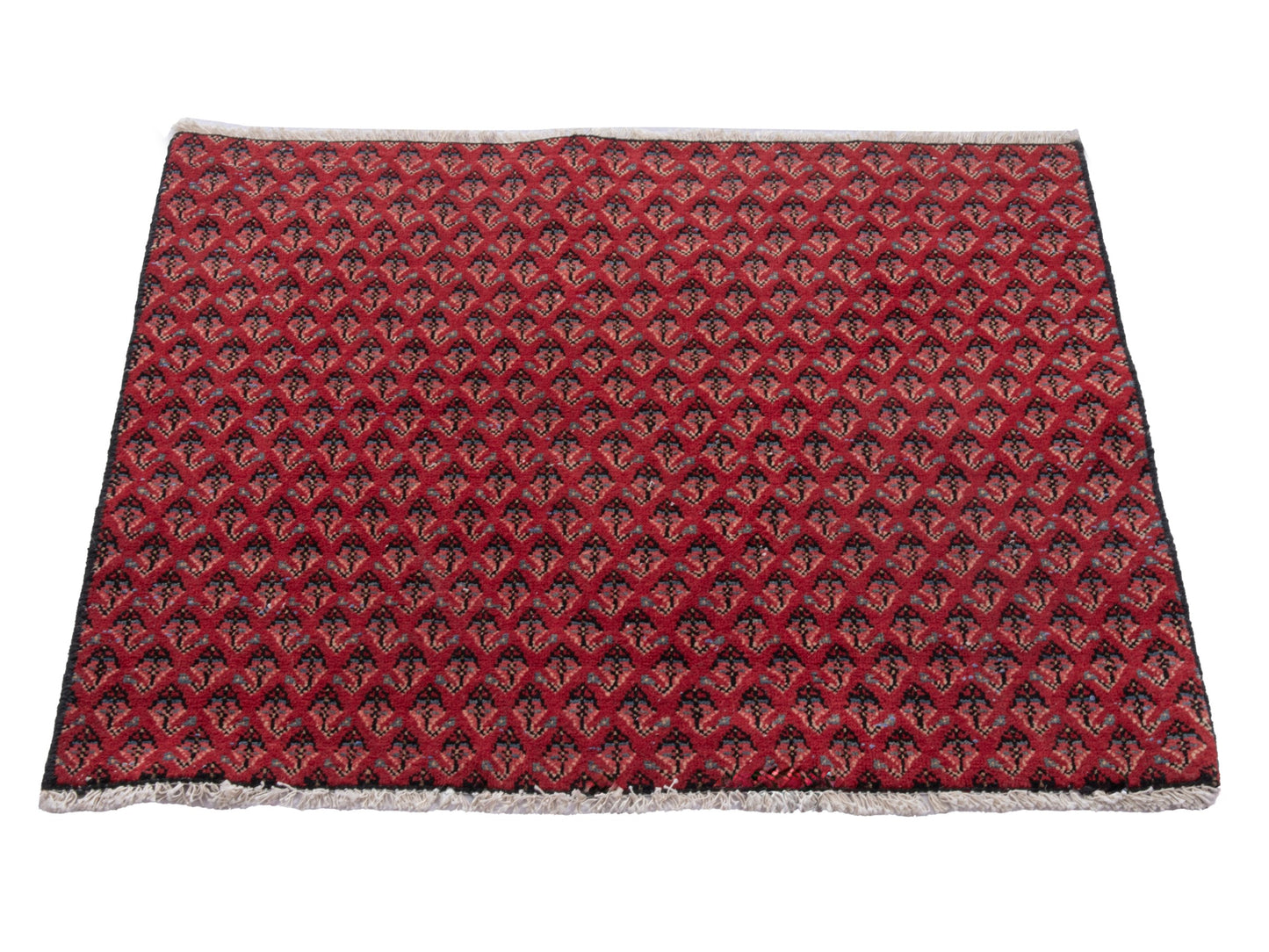 CAN_4890 - 2'7" x 2'4"