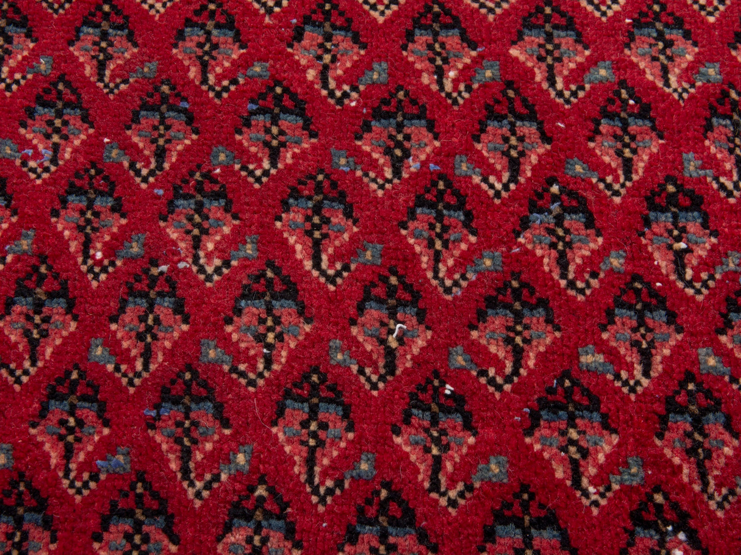 CAN_4890 - 2'7" x 2'4"