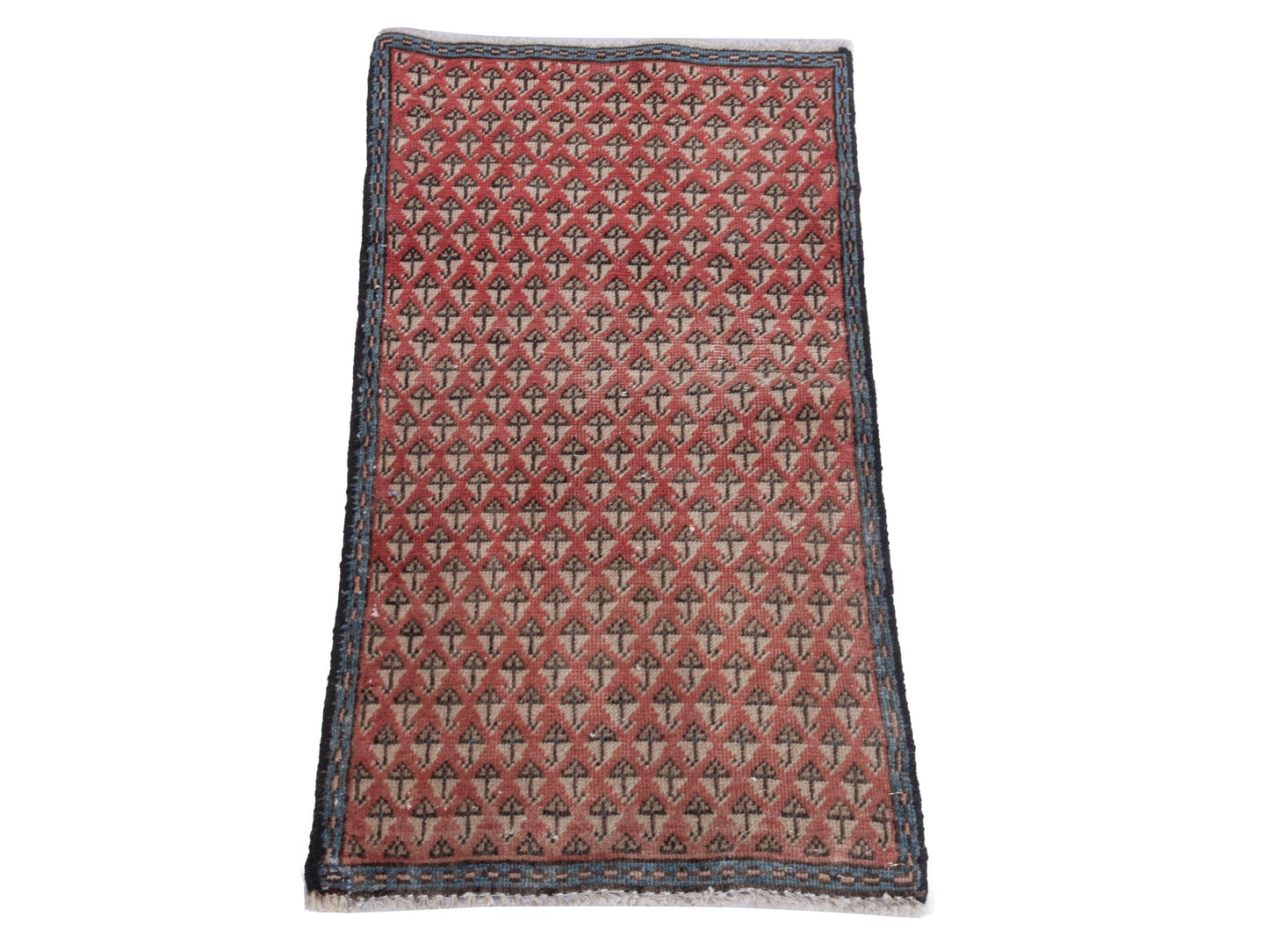 CAN_4895 - 1'6" x 3'3"