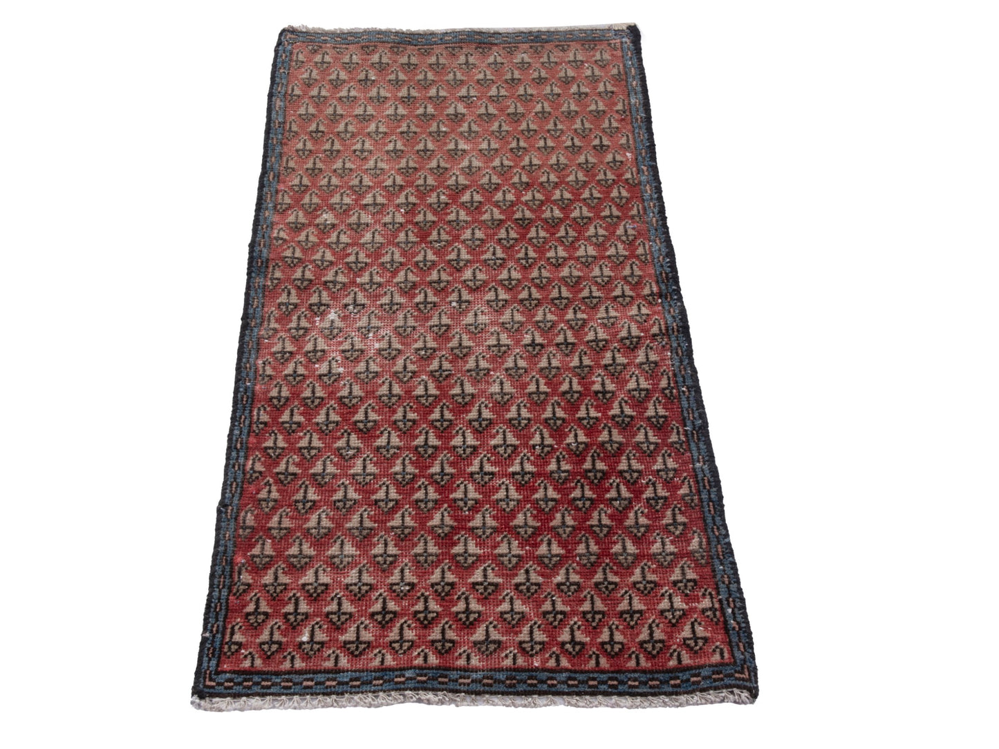 CAN_4895 - 1'6" x 3'3"