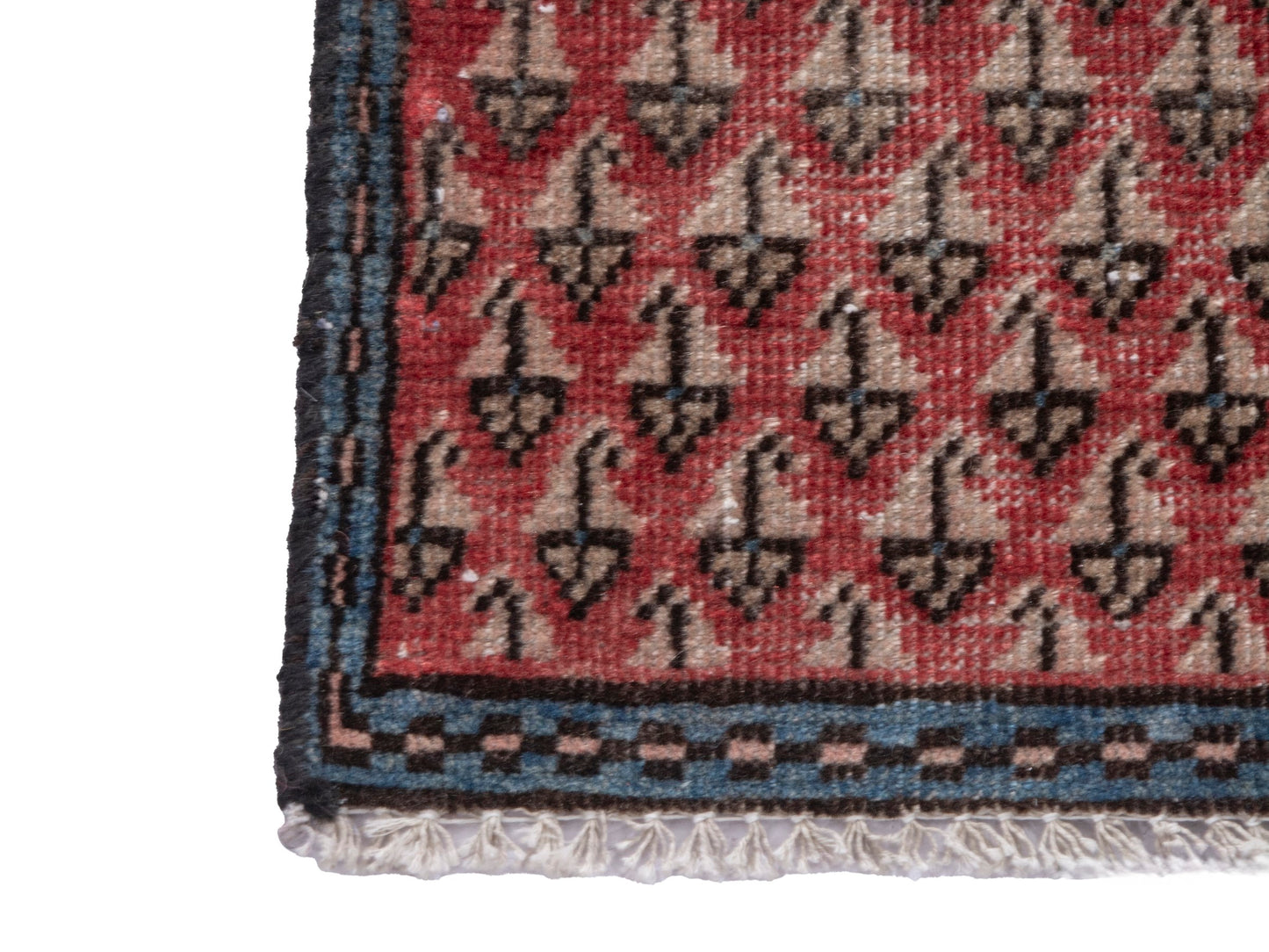 CAN_4895 - 1'6" x 3'3"