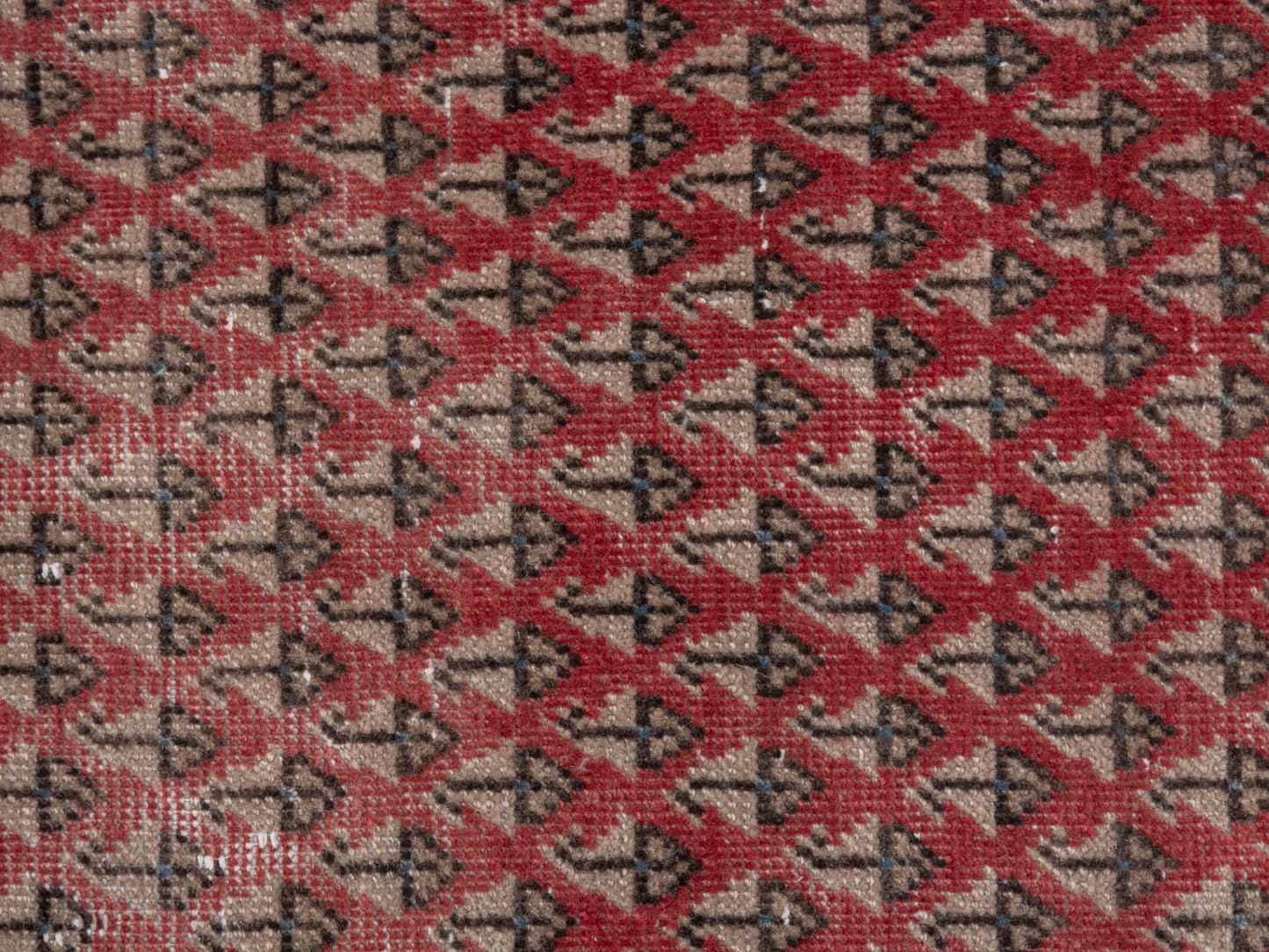 CAN_4895 - 1'6" x 3'3"