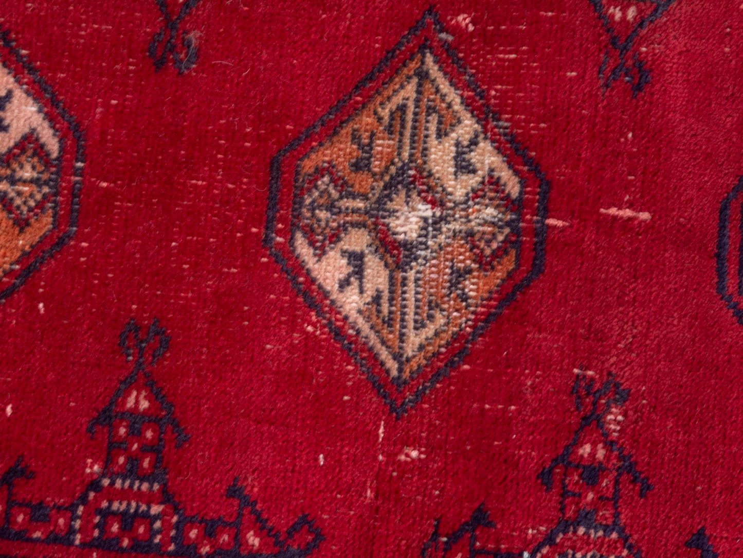 CAN_4898 - 2'2" x 3'1"