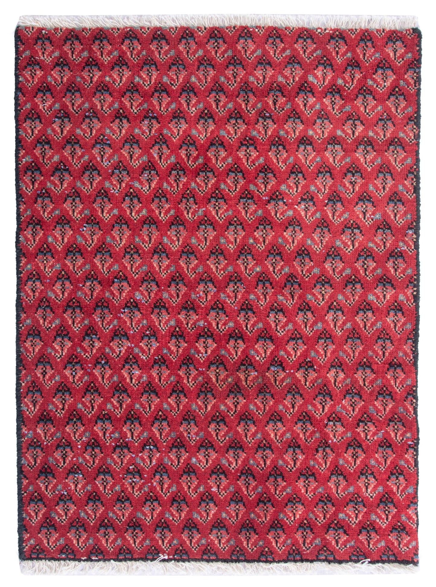 CAN_4828 - 1'8" x 2'4"