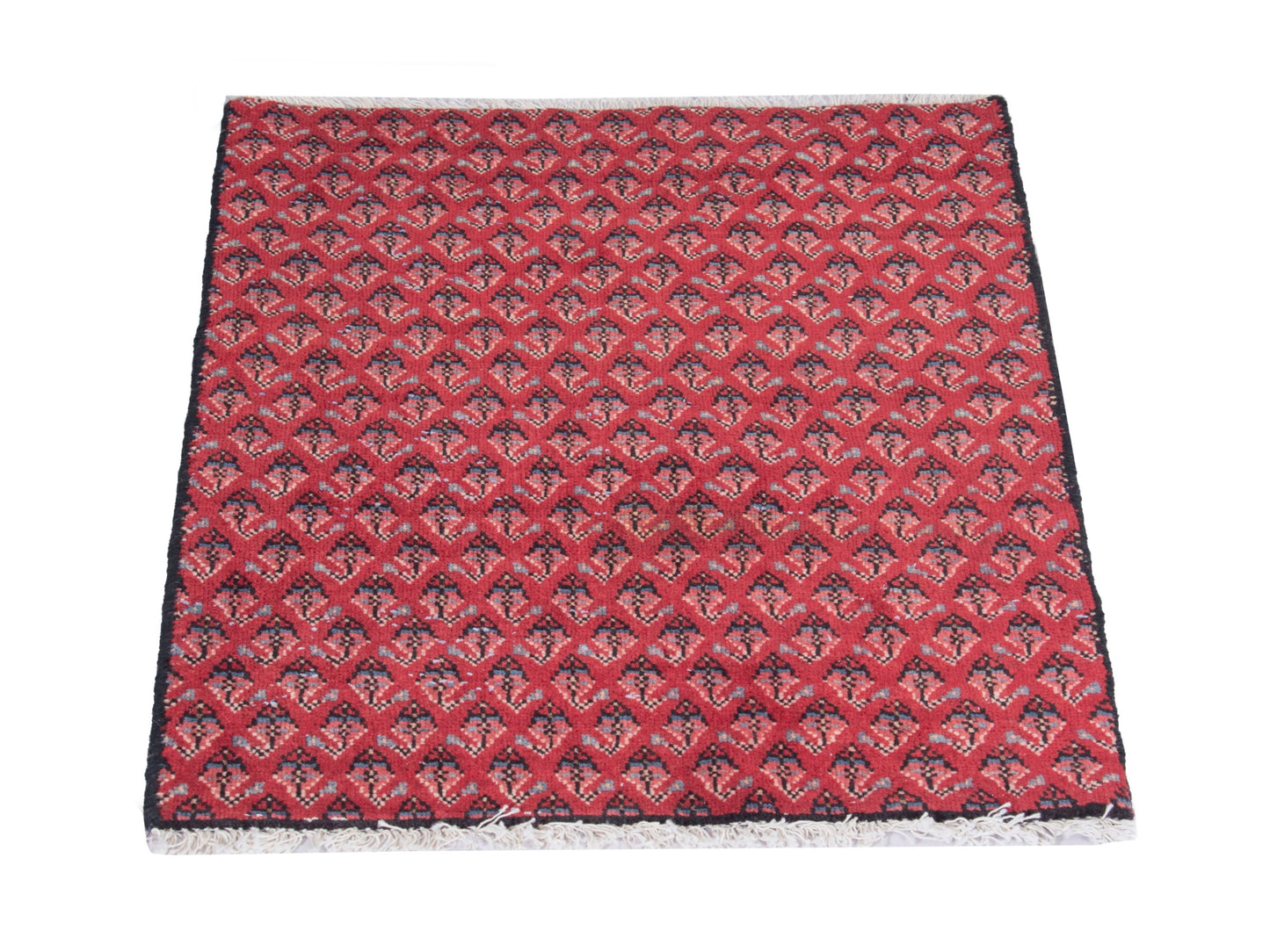 CAN_4828 - 1'8" x 2'4"
