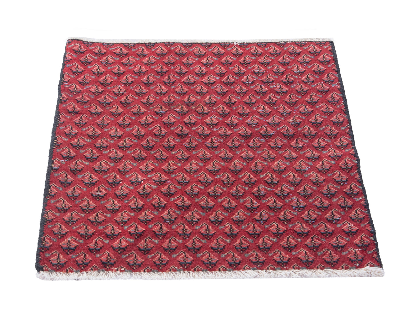 CAN_4828 - 1'8" x 2'4"