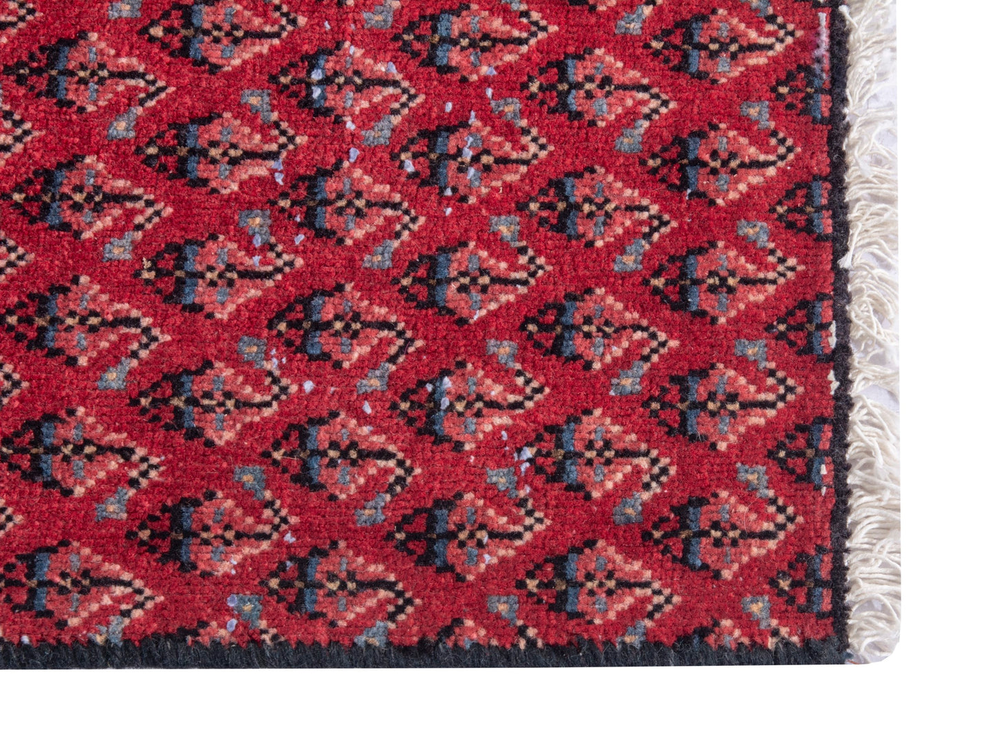 CAN_4828 - 1'8" x 2'4"