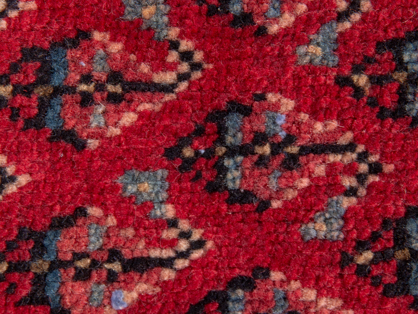 CAN_4828 - 1'8" x 2'4"