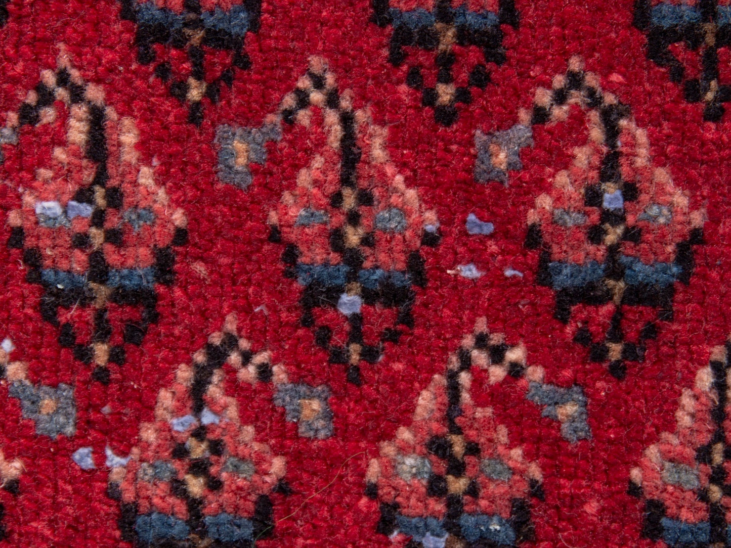 CAN_4828 - 1'8" x 2'4"