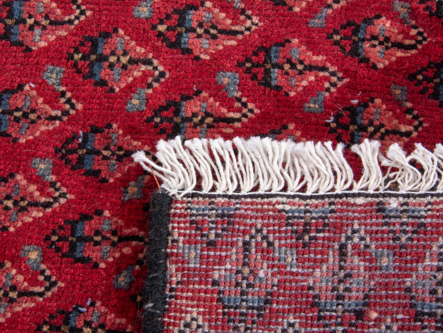 CAN_4828 - 1'8" x 2'4"