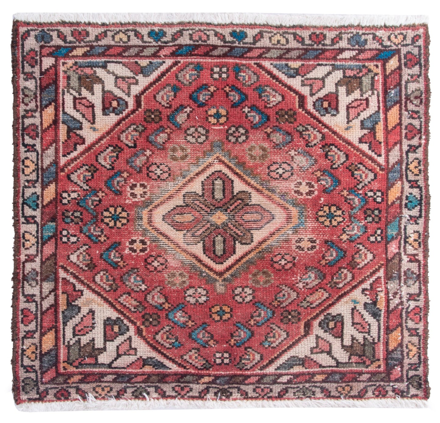 CAN_4858 - 2'4" x 2'