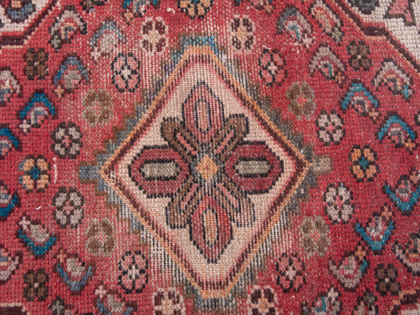 CAN_4858 - 2'4" x 2'
