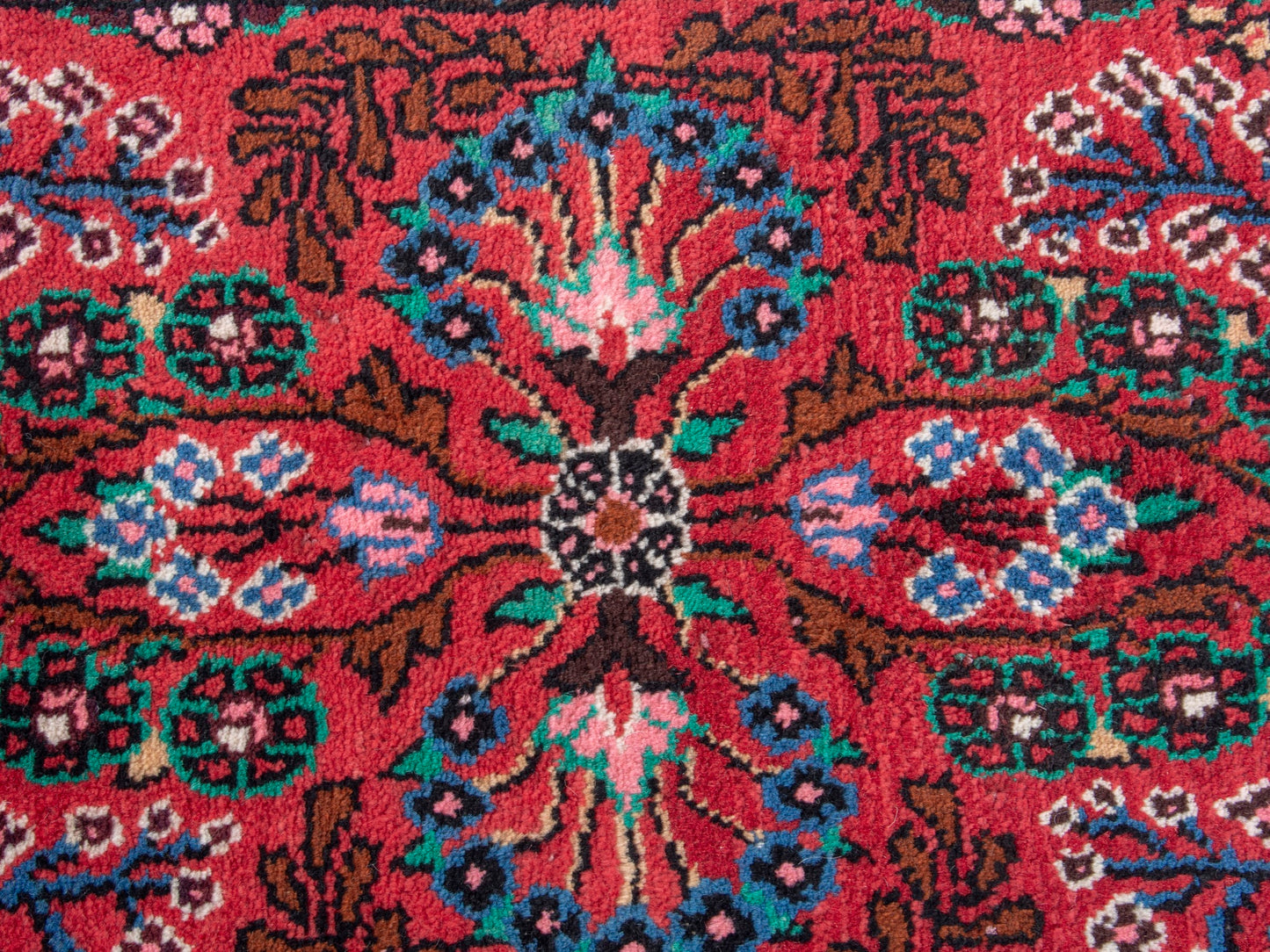 CAN_4856 - 1'8" x 2'9"