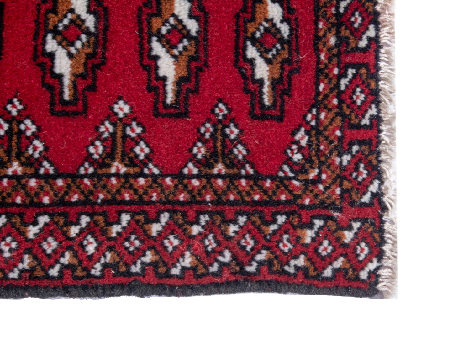 CAN_4872 - 3'1" x 1'8"
