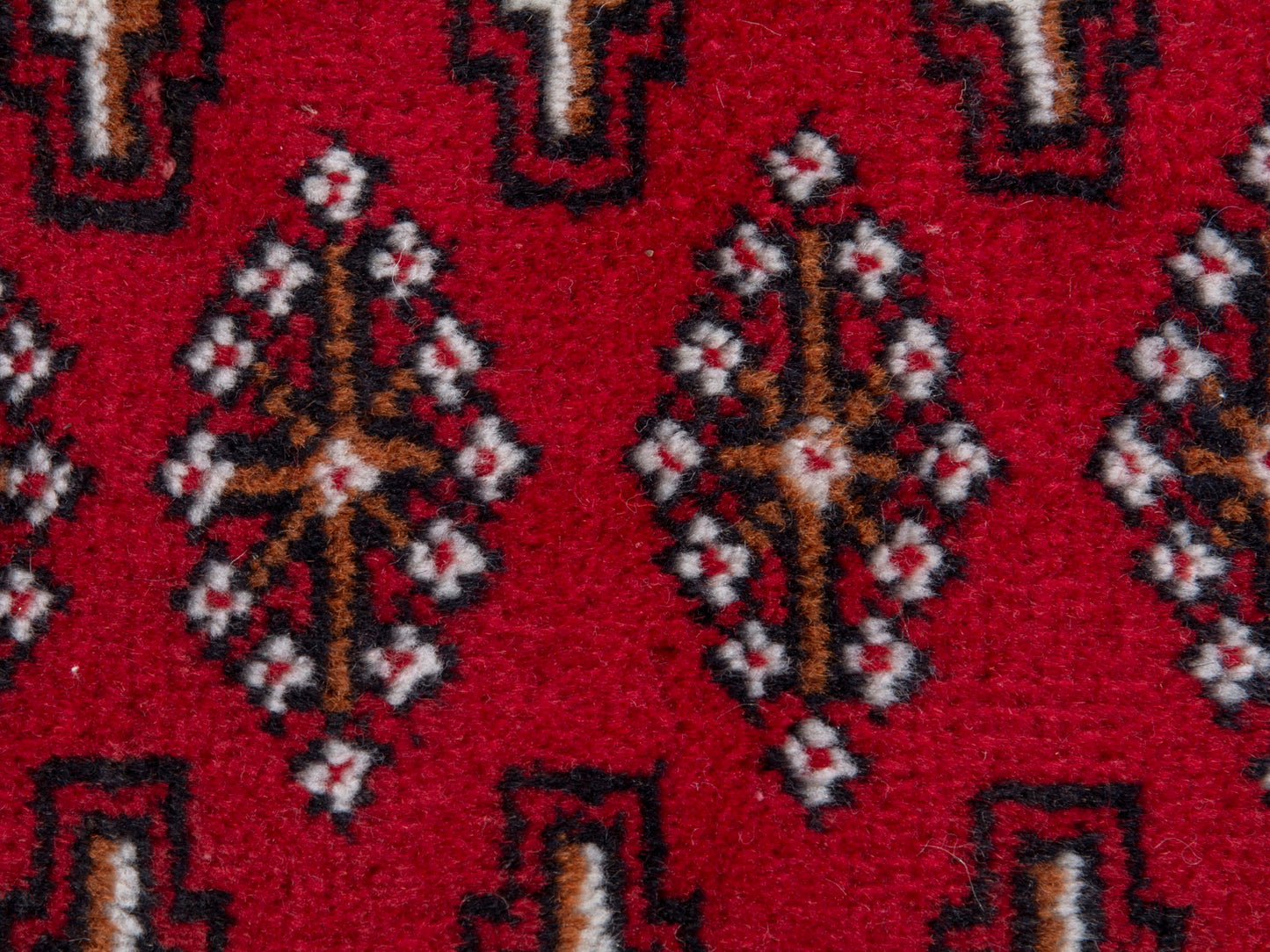 CAN_4872 - 3'1" x 1'8"