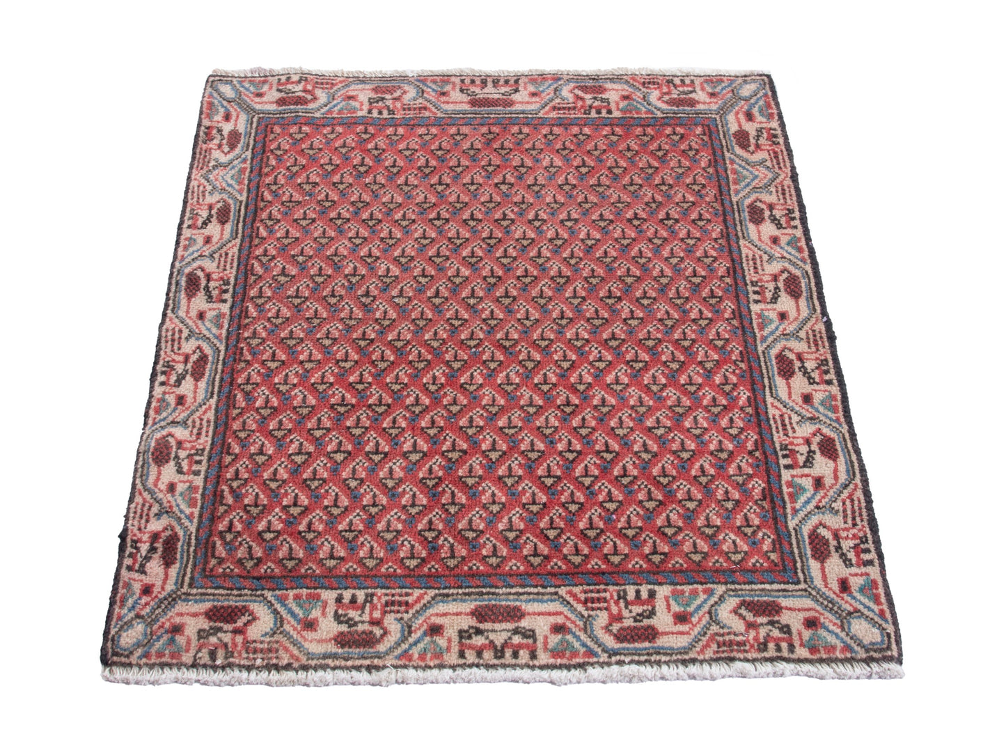 CAN_4882 - 2'1" x 2'6"