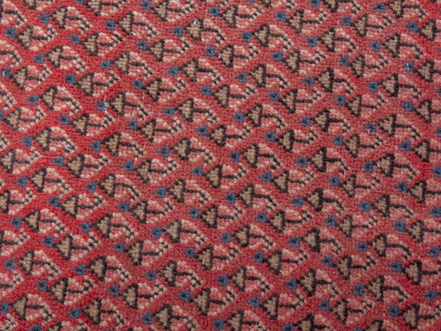 CAN_4882 - 2'1" x 2'6"